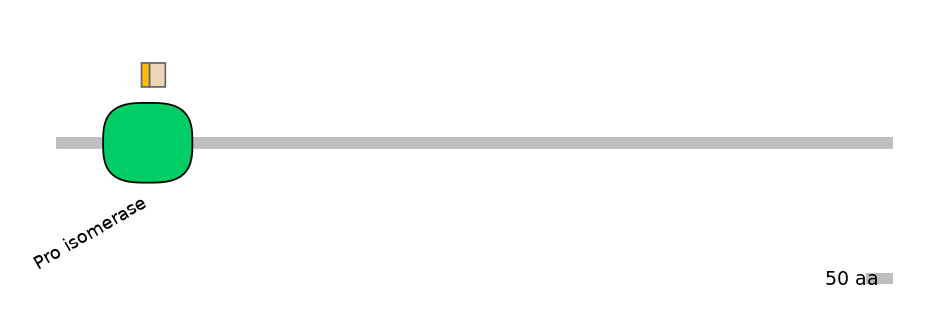 GgaINT0091026-EXC