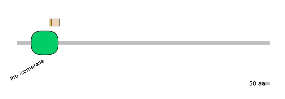 GgaINT0091028-EXC