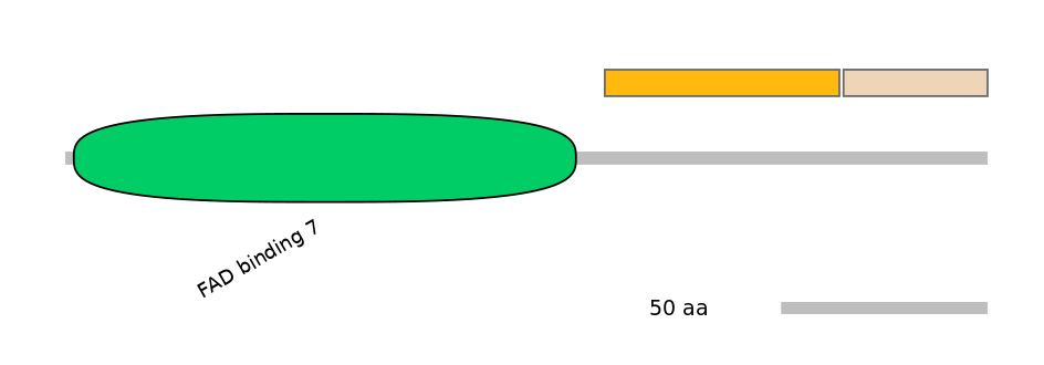 GgaINT0094889-EXC