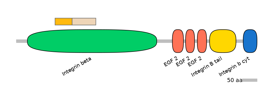 GgaINT0095050-EXC