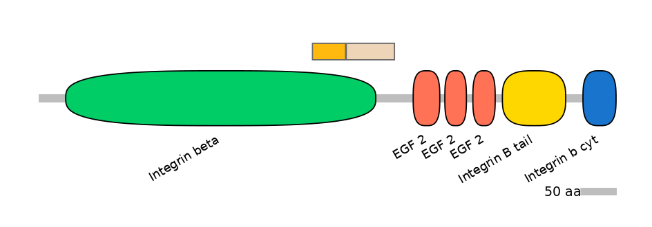 GgaINT0095055-EXC