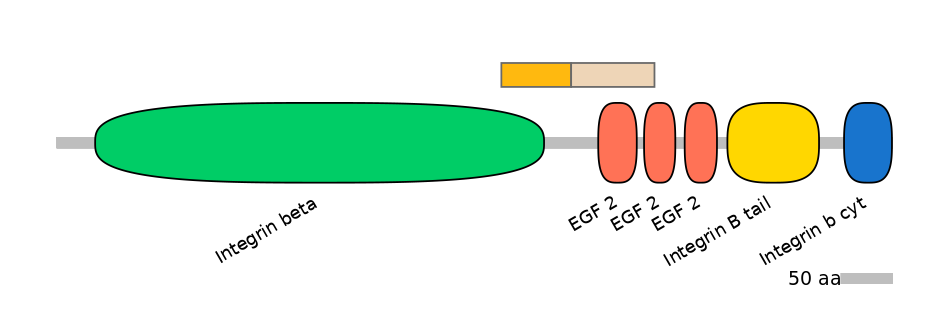 GgaINT0095056-EXC