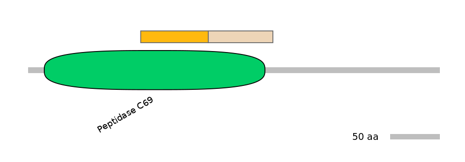GgaINT0096079-EXC