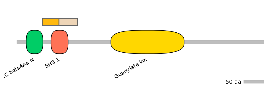 GgaINT0097888-EXC
