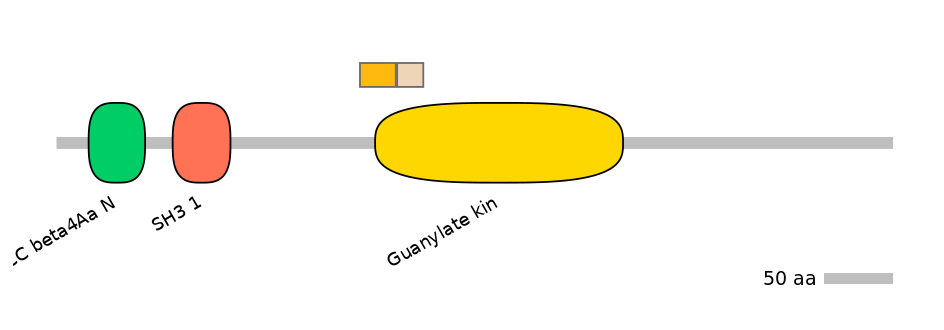 GgaINT0097892-EXC