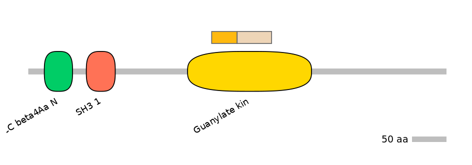 GgaINT0097894-EXC