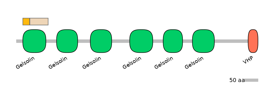 GgaINT0102126-EXC