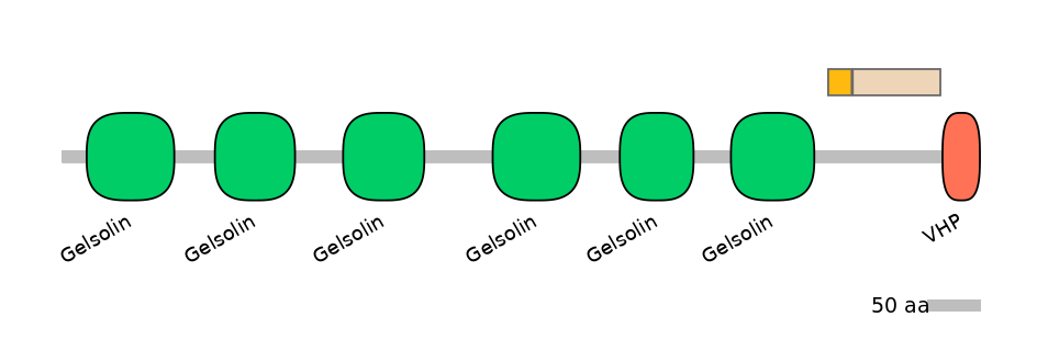 GgaINT0102141-EXC