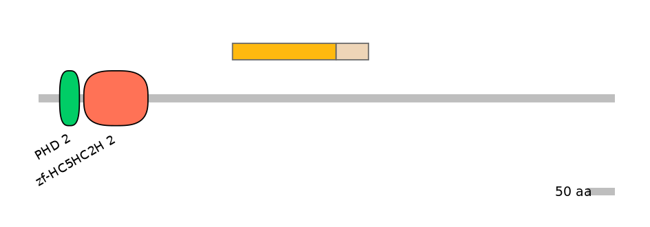 GgaINT0102638-EXC