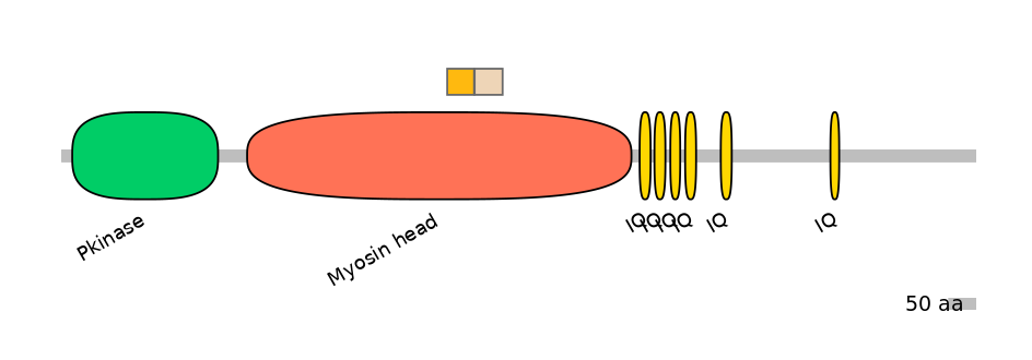 GgaINT0103356-EXC