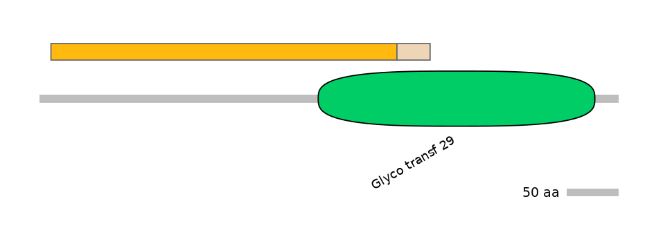 GgaINT0106730-EXC