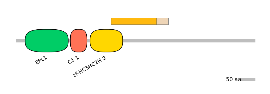 GgaINT0108089-EXC
