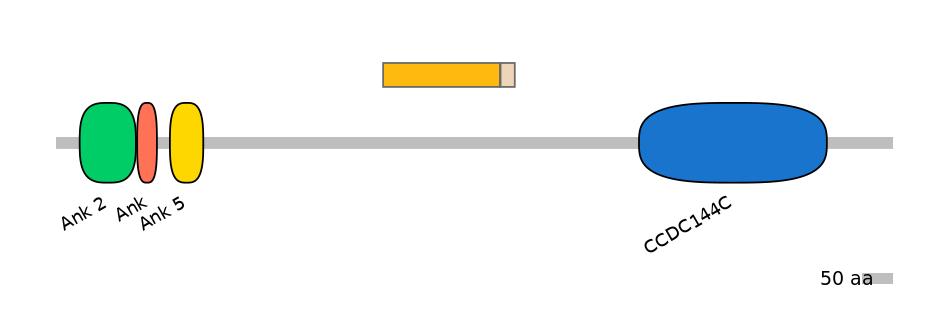 GgaINT0109012-EXC