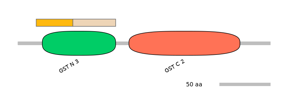 GgaINT0112006-EXC