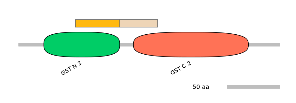 GgaINT0112007-EXC