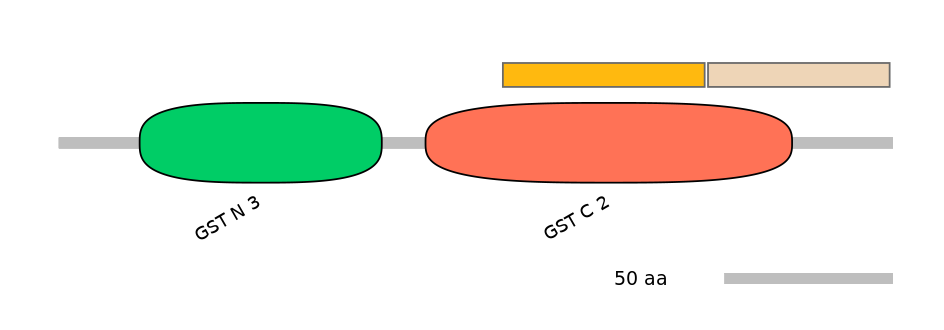 GgaINT0112009-EXC