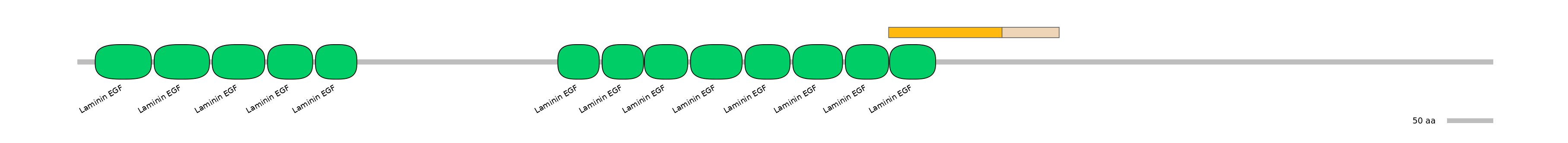 GgaINT0112335-EXC