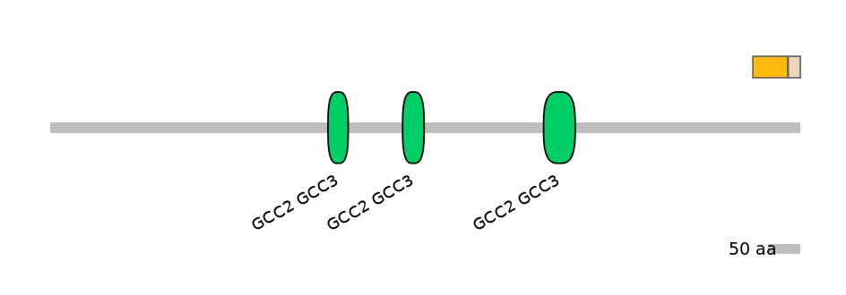 GgaINT0113154-EXC