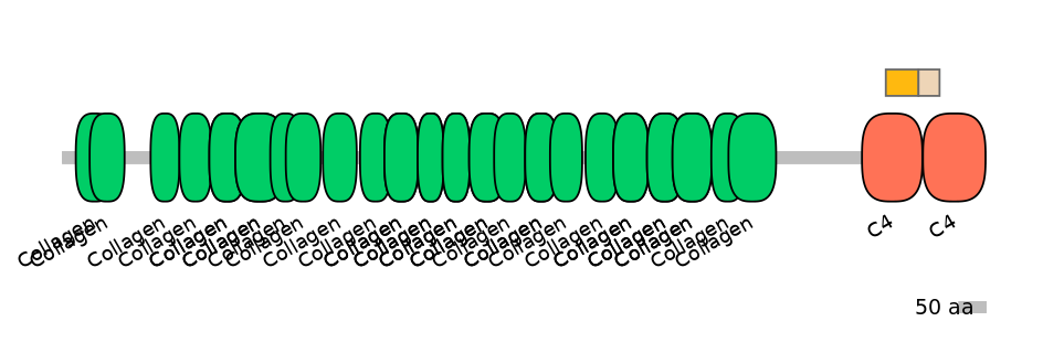 GgaINT0116576-EXC