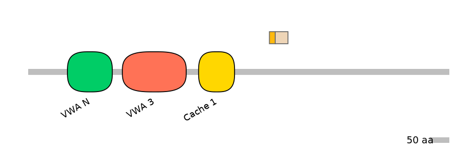 GgaINT0120290-EXC