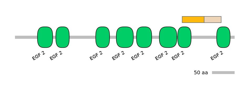 GgaINT0120717-EXC