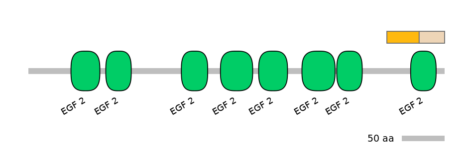 GgaINT0120718-EXC