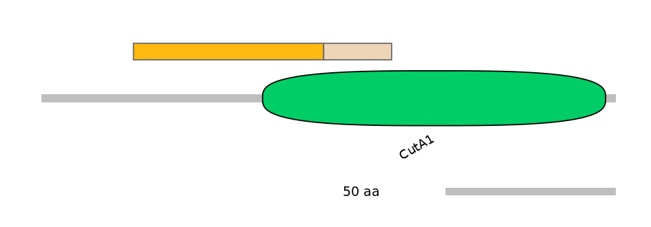 GgaINT0123712-EXC