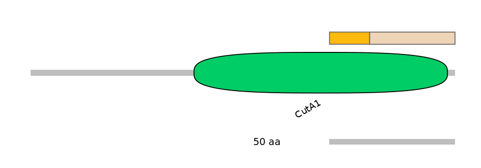 GgaINT0123715-EXC