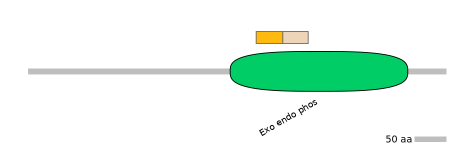 GgaINT0123721-EXC
