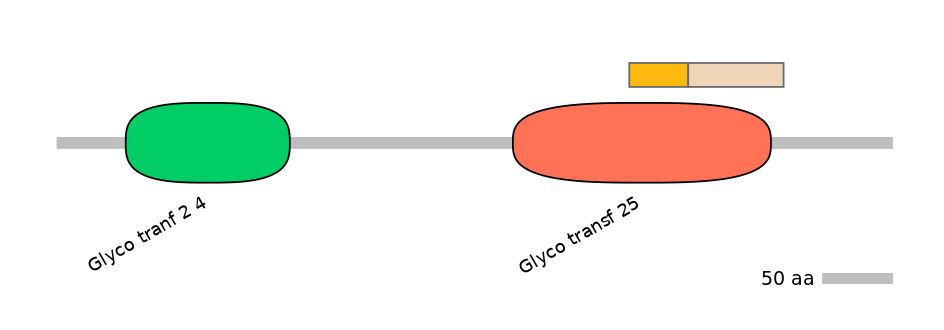 GgaINT0123813-EXC