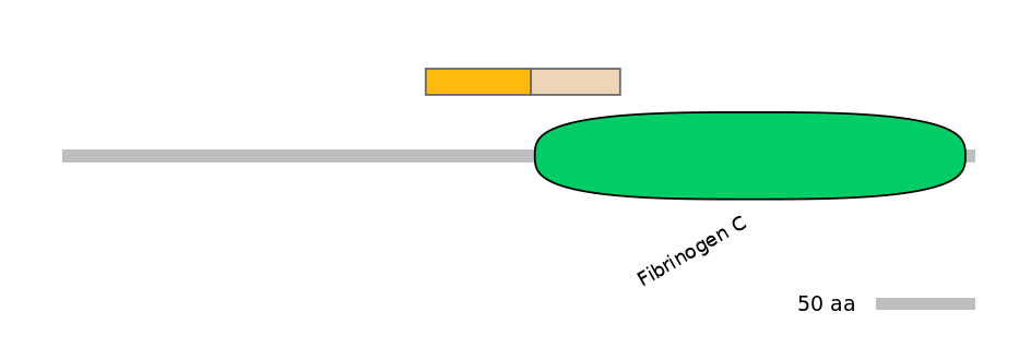 GgaINT0124053-EXC