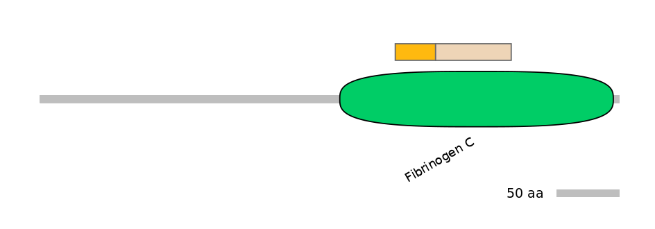 GgaINT0124055-EXC