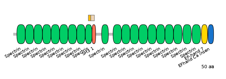 GgaINT0124362-EXC