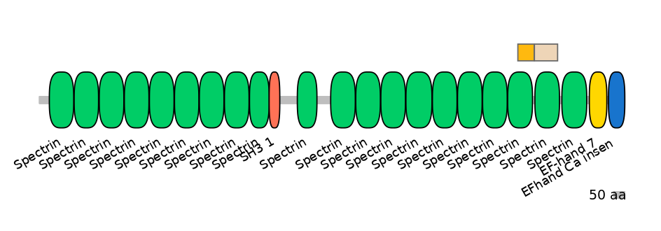 GgaINT0124390-EXC