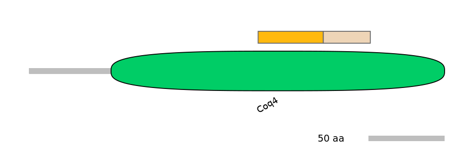 GgaINT0124428-EXC