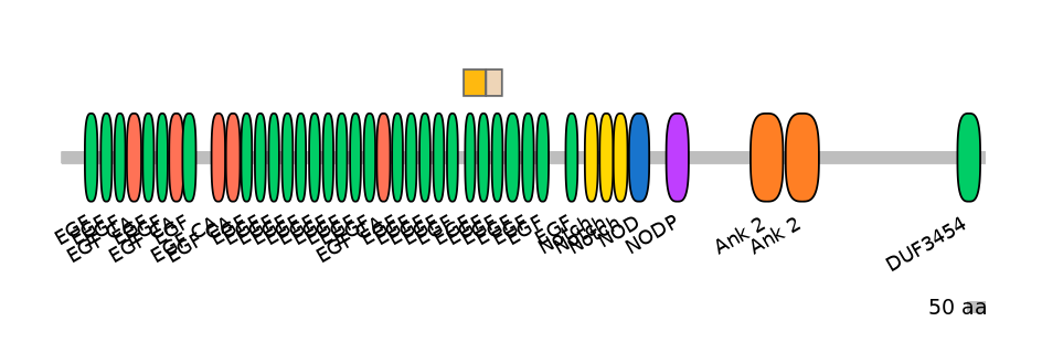 GgaINT0124449-EXC