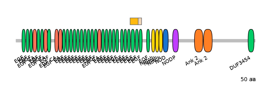 GgaINT0124451-EXC