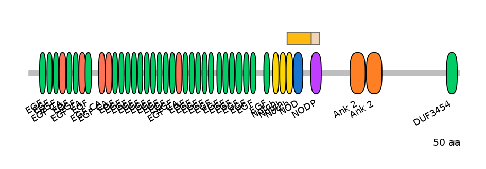 GgaINT0124454-EXC