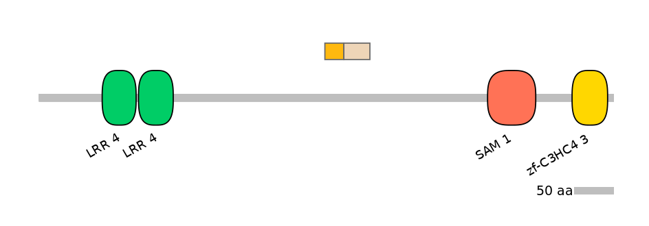 GgaINT0124719-EXC