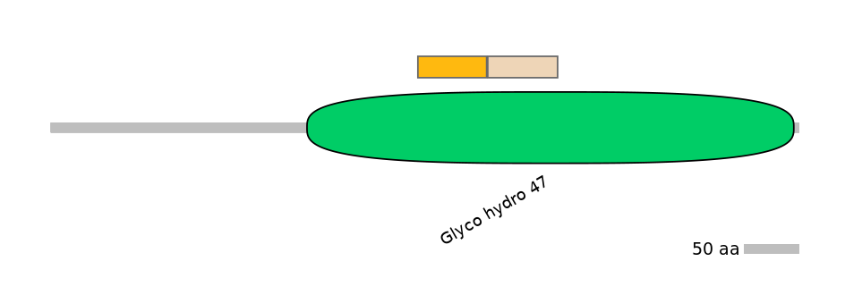 GgaINT0124736-EXC
