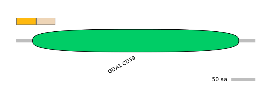GgaINT0124851-EXC
