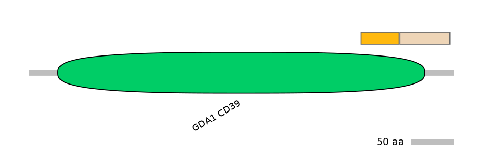 GgaINT0124858-EXC