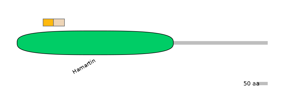 GgaINT0125140-EXC
