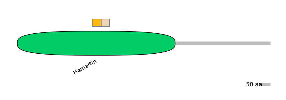 GgaINT0125145-EXC