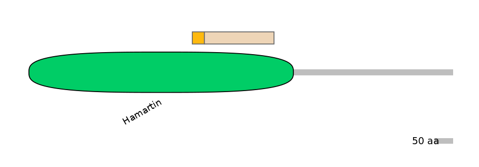 GgaINT0125148-EXC