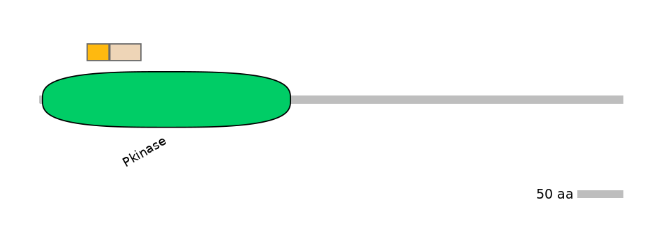 GgaINT0125414-EXC