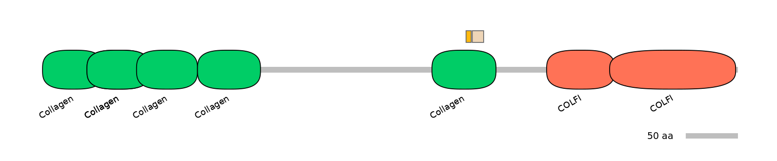 GgaINT0125605-EXC