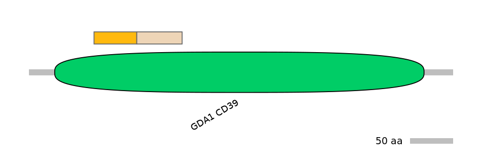 GgaINT0125659-EXC