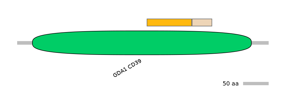 GgaINT0125662-EXC