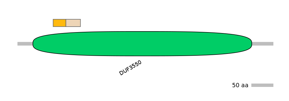 GgaINT0125702-EXC